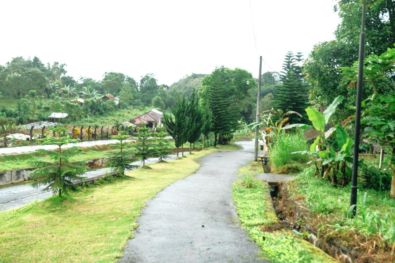 Tunjung Sari Villa Bedugul Bedugul (Bali) Exterior foto